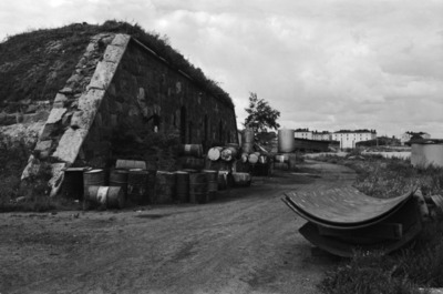 Susisaari