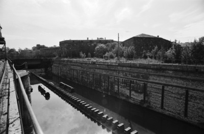 Susisaari