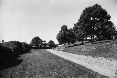 Susisaari