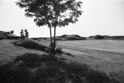 Susisaari