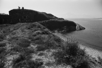 Susisaari