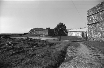 Susisaari