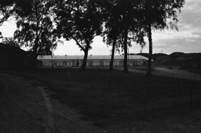 Susisaari
