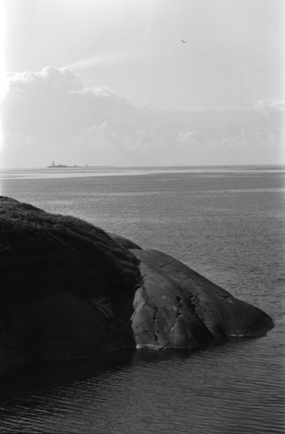 Susisaari