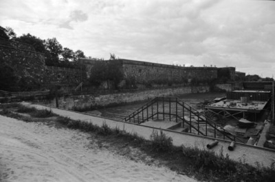 Susisaari