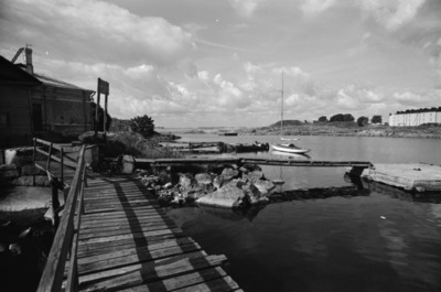 Susisaari