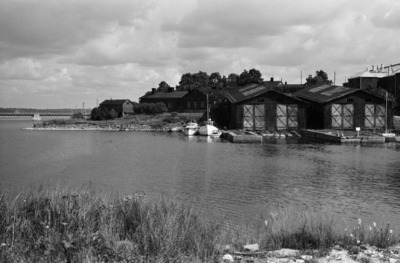 Susisaari