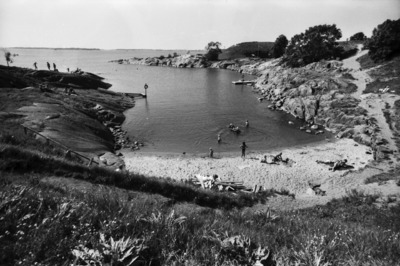 Susisaari