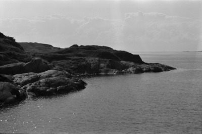 Susisaari