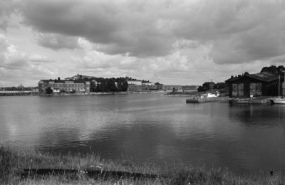 Susisaari