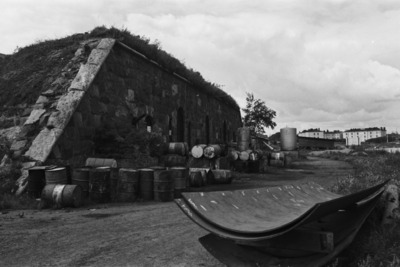 Susisaari