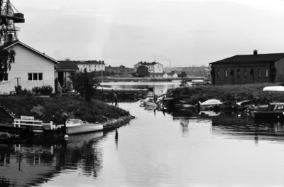 Susisaari
