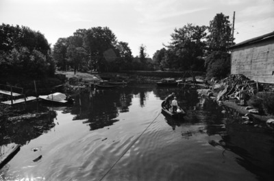 Susisaari