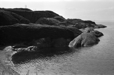 Susisaari
