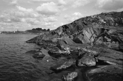 Susisaari
