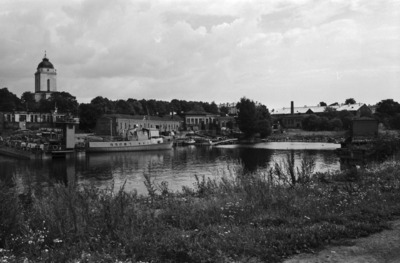Susisaari