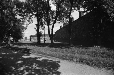 Susisaari