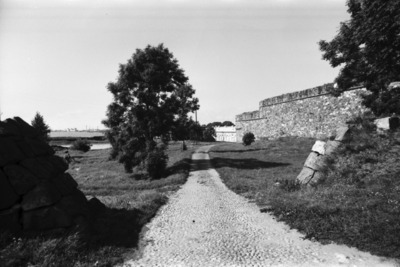 Susisaari