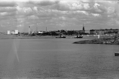Susisaari
