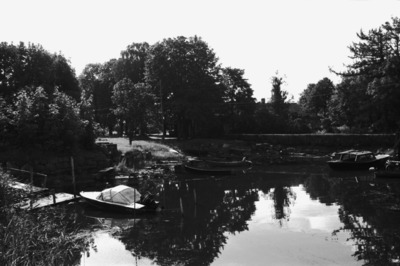 Susisaari