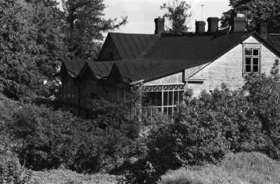Susisaari