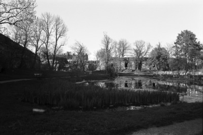 Susisaari