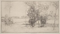 Sussex Landscape