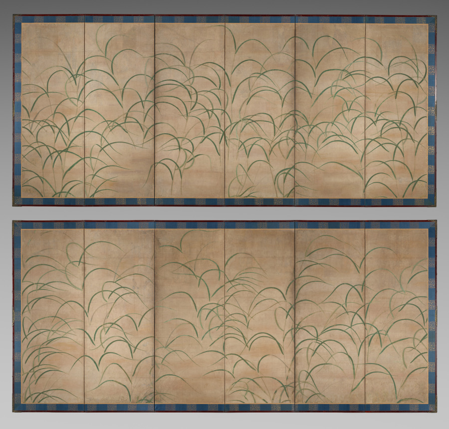 Susuki Grass
