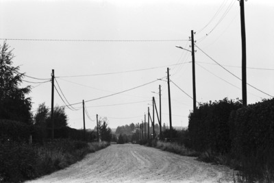 Suutarila