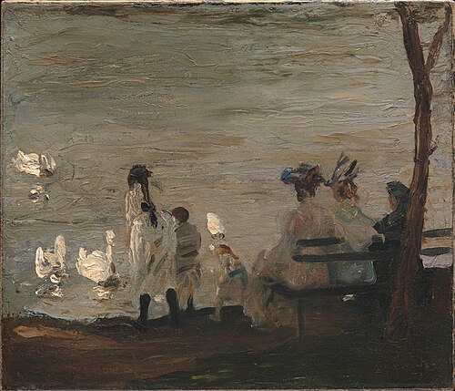 Swans in Central Park