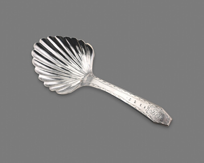 Tea Caddy Spoon