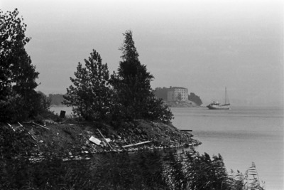 Tervasaari