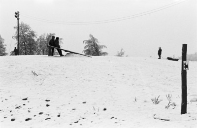 Tervasaari