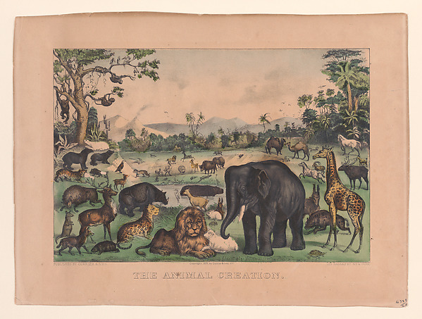 The Animal Creation