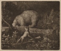 The Bear Trapped