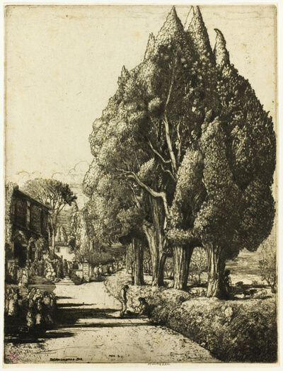 The Cypress Grove