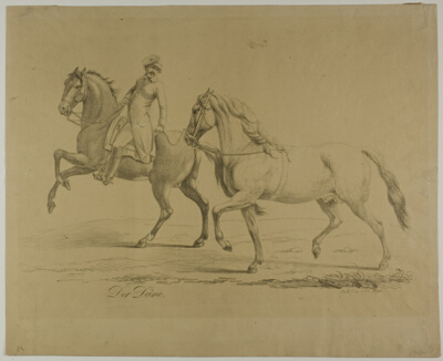 The Dane