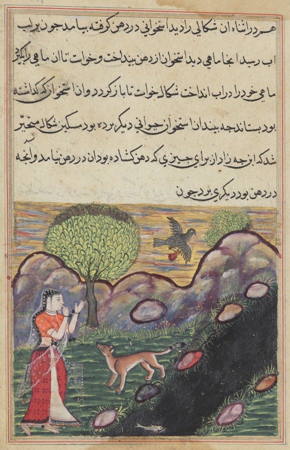 The daughter-in-law of the king of Banaras sees the jackal deprived of its food by a bird, as it unsuccessfully attempts to catch a fish, from a Tuti-nama (Tales of a Parrot): Sixteenth Night