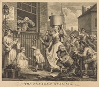 The Enraged Musician