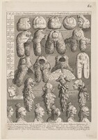 The Five Orders of Perriwigs as They Were Worn at the Late Coronation, Measured Architectonically