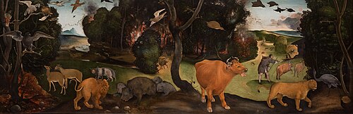 The Forest Fire