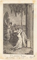 The Fortunate Rescue