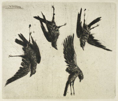 The Four Dead Ravens
