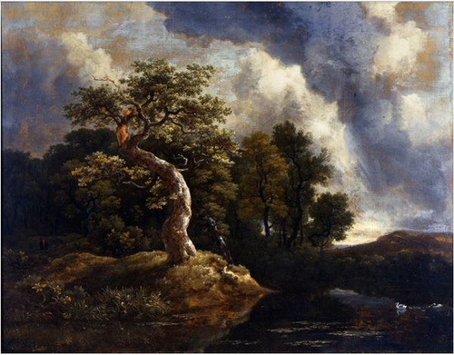 The Gnarled Oak