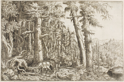 The Good Samaritan