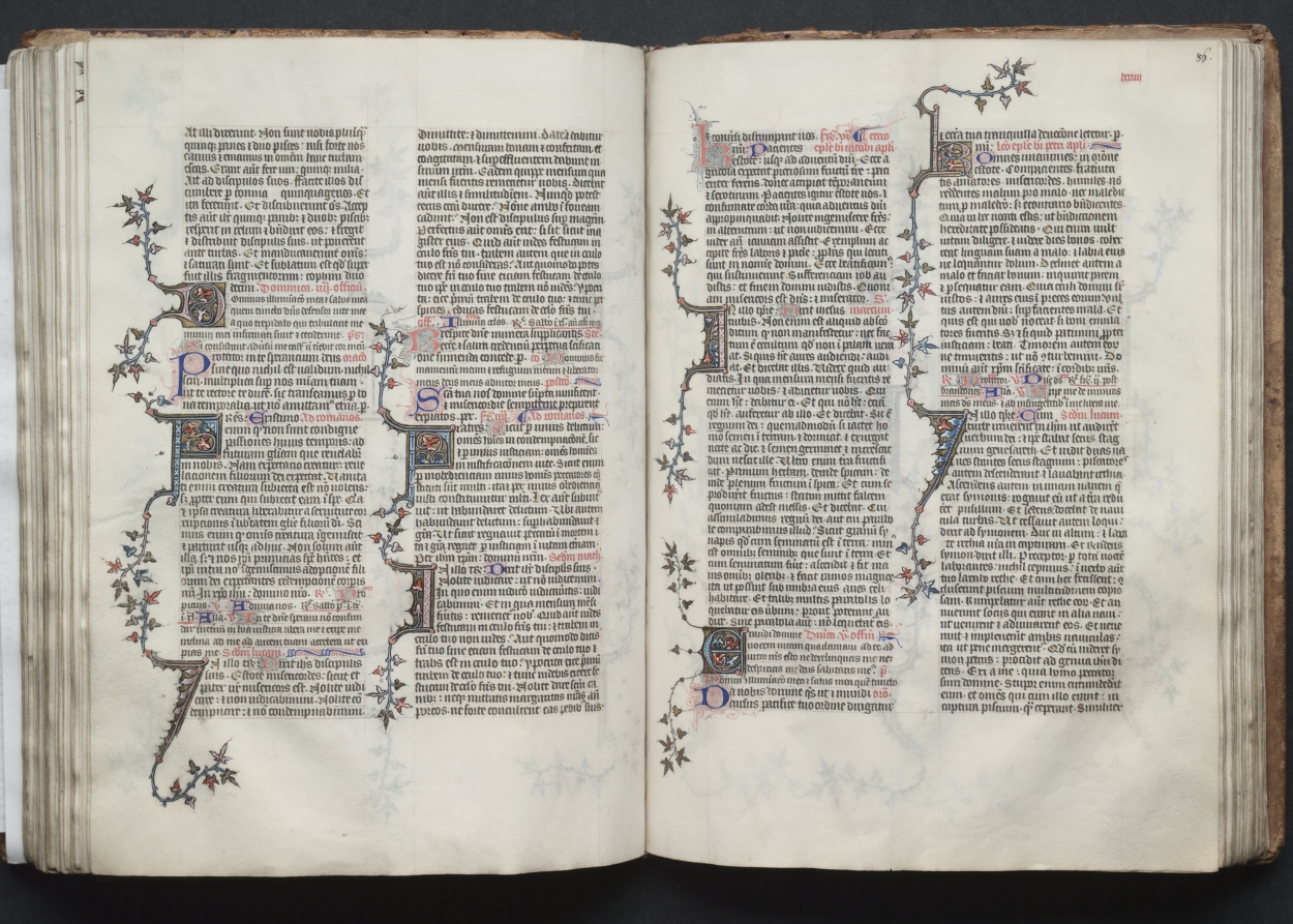 The Gotha Missal:  Fol. 85v, Text