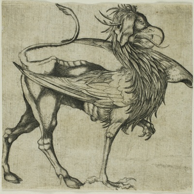 The Griffin