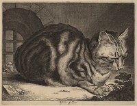 The Large Cat