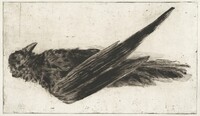 The Large Hanging Raven