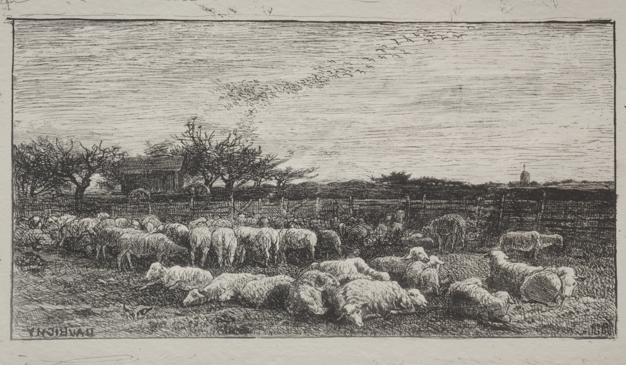 The Large Sheepfold